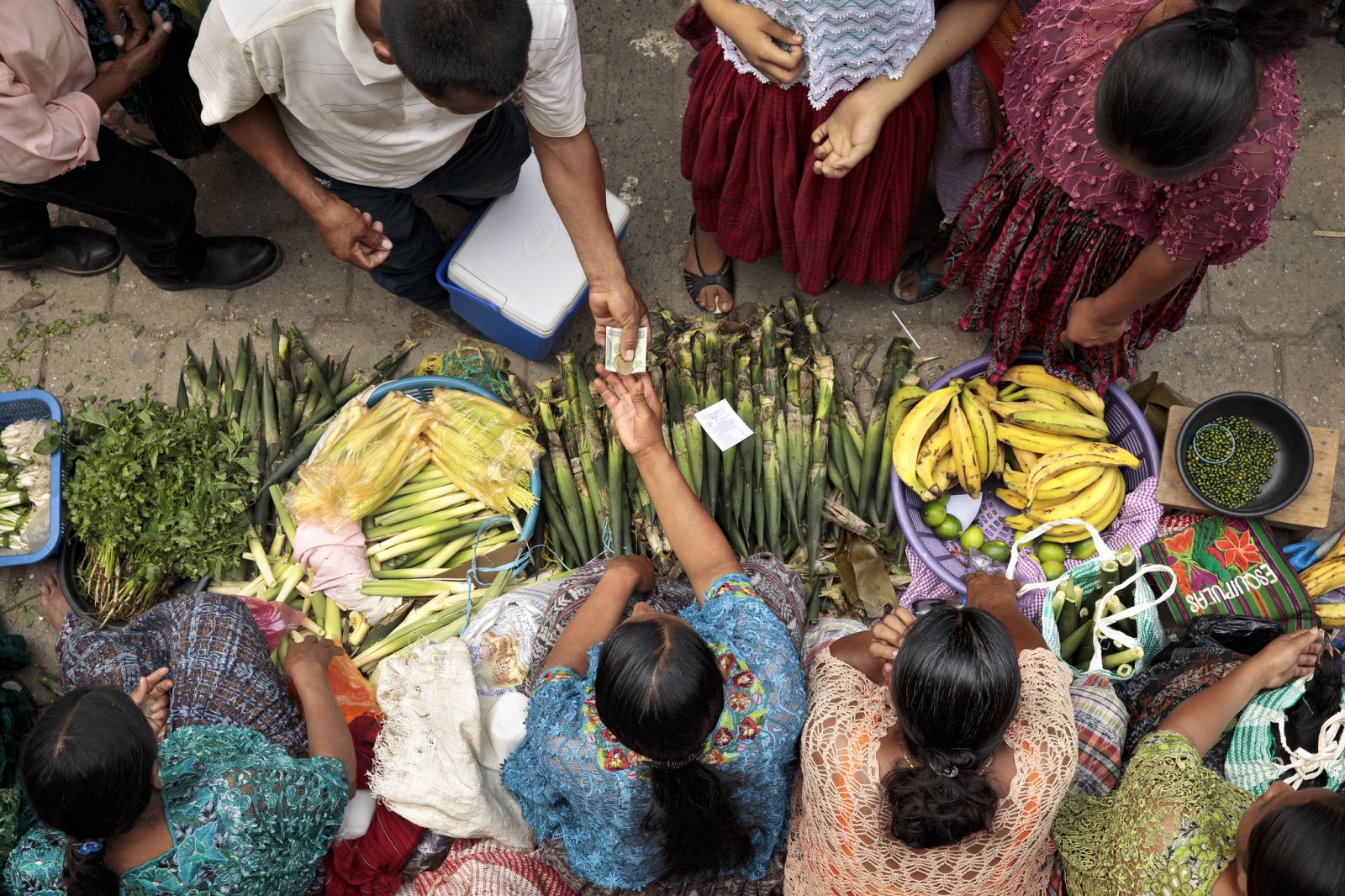 Women entrepreneurs selling fruits and vegetables